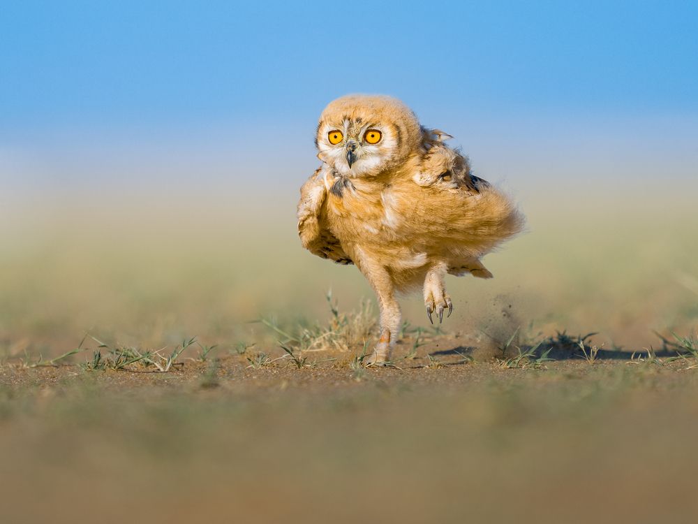 Photograph by Ahmed Sobhi