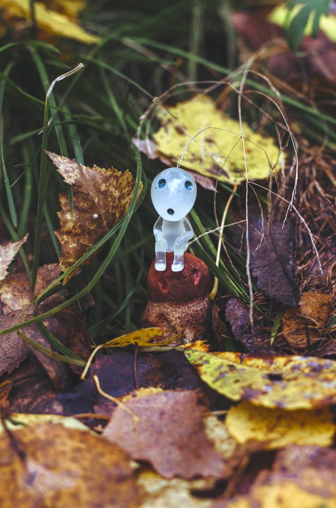 Photograph by Любовь Бусова