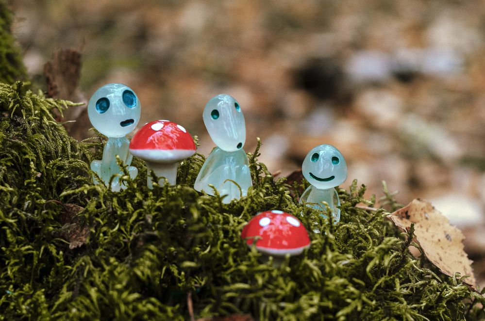 Photograph by Любовь Бусова