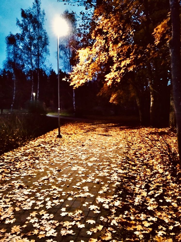 Photograph by Anna Krivorucko