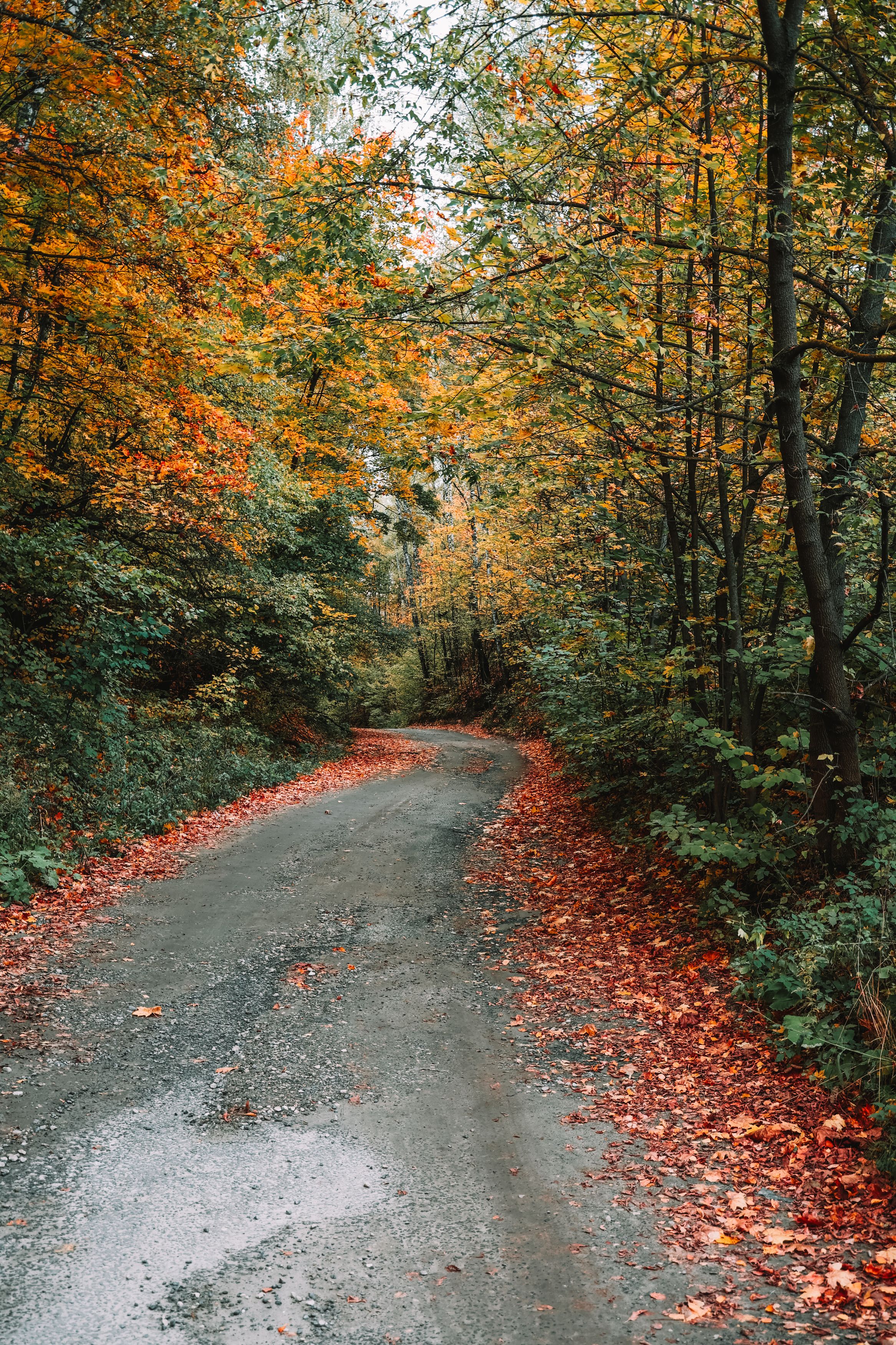 Photograph by Алексей Голубев