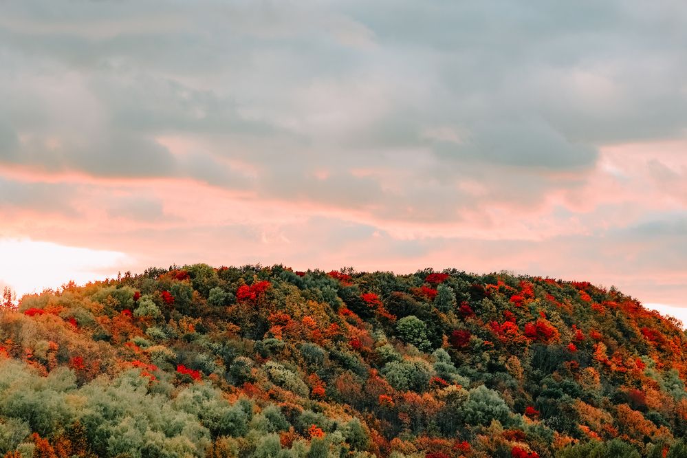 Photograph by Алексей Голубев