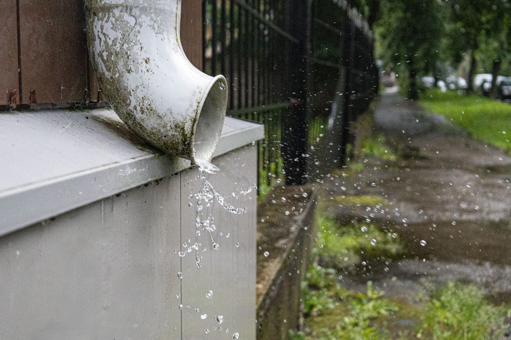 Photograph by Александр Новиков