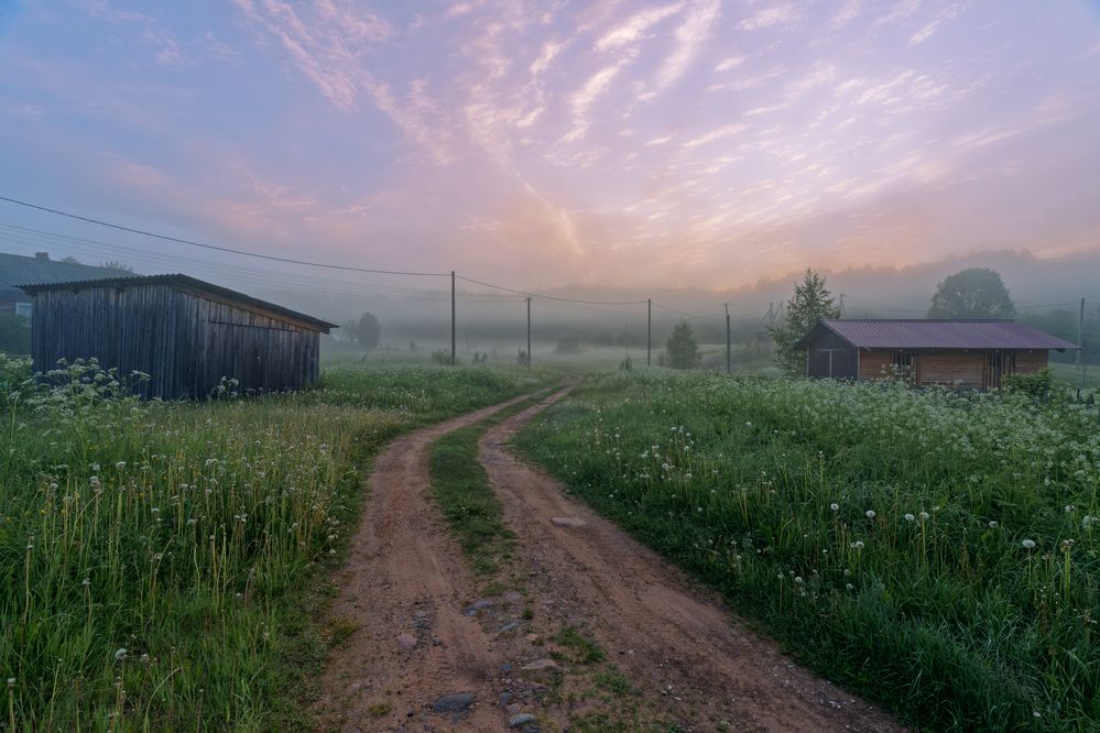 Photograph by Ян