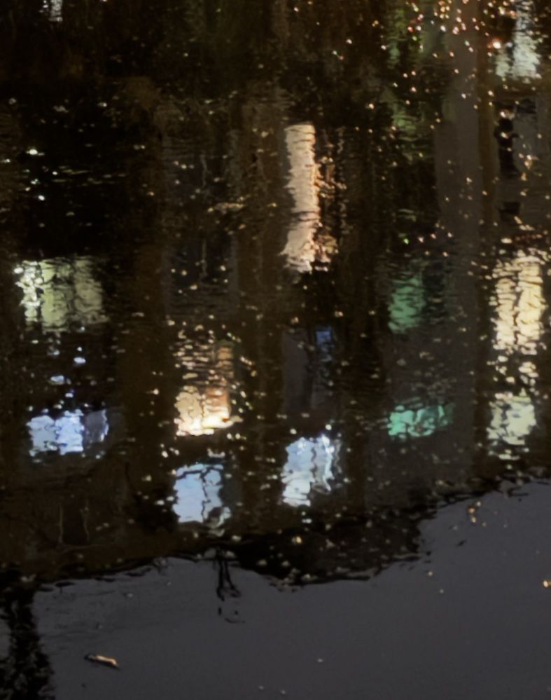 Вечерние огни