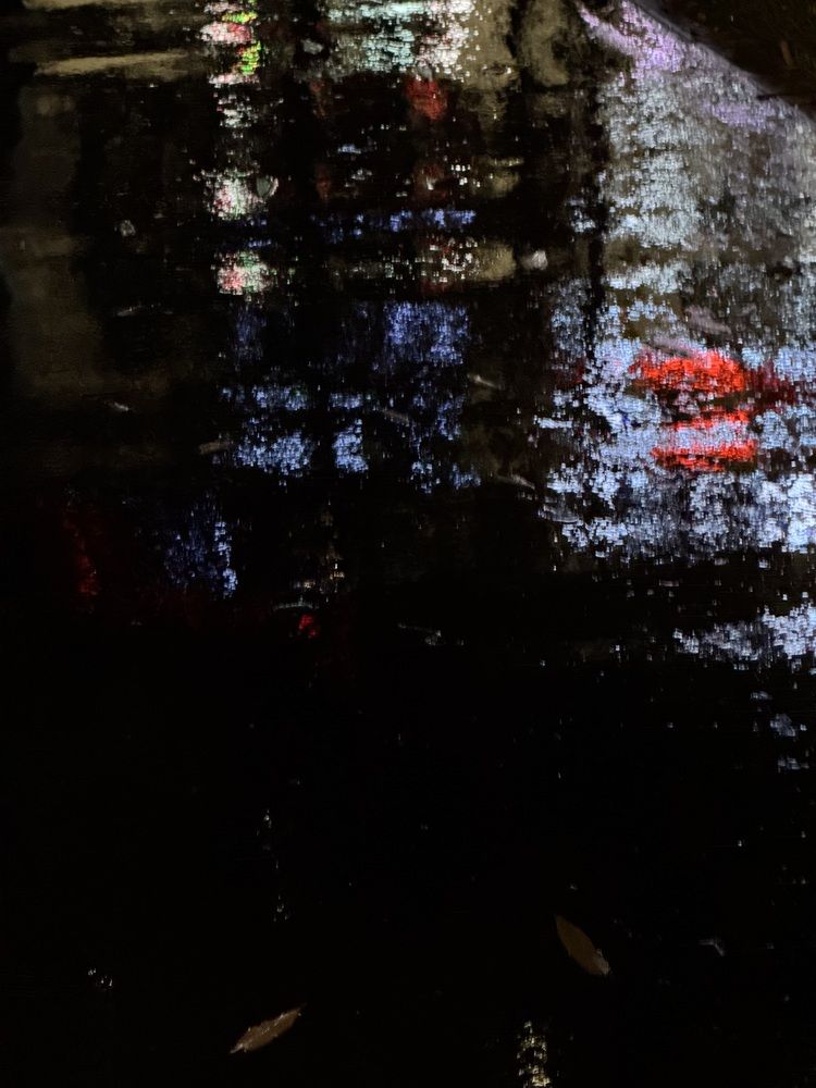 В нашем городе дождь