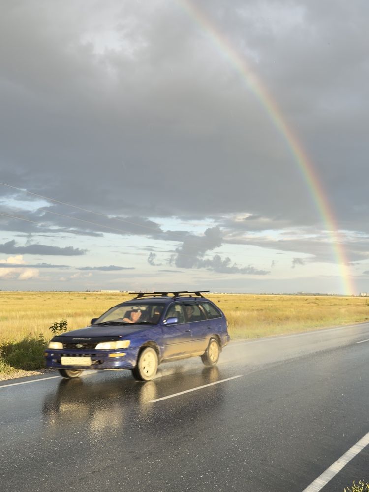 Фотография автора Галина Шиманцова