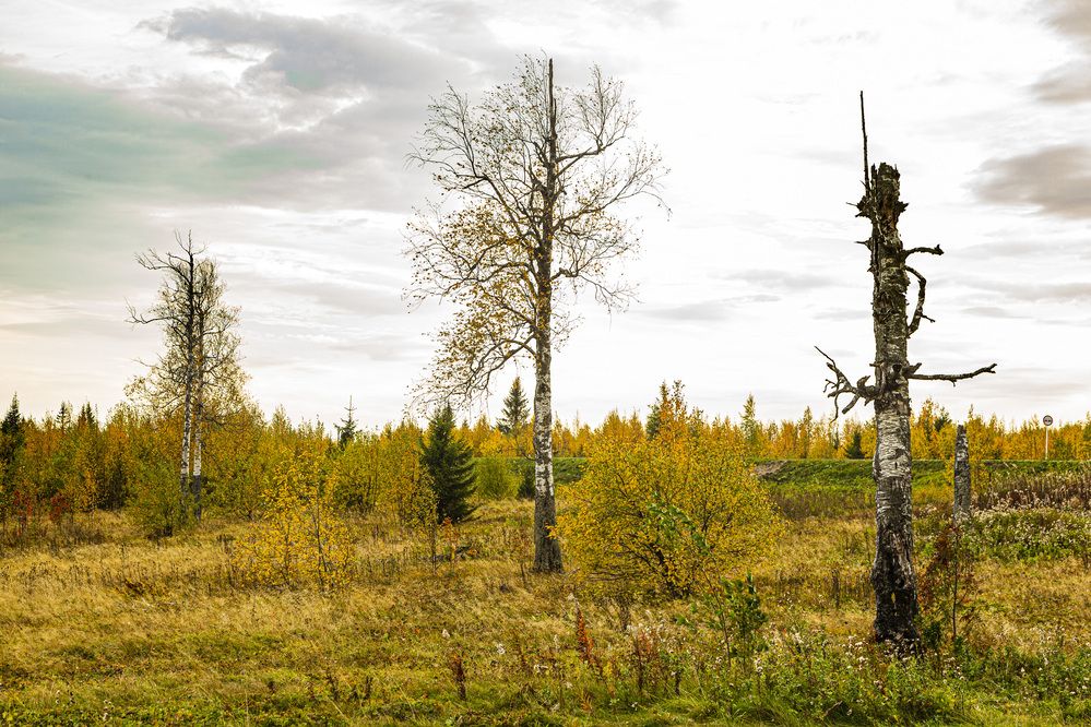 Фотография автора Каргин Валерий