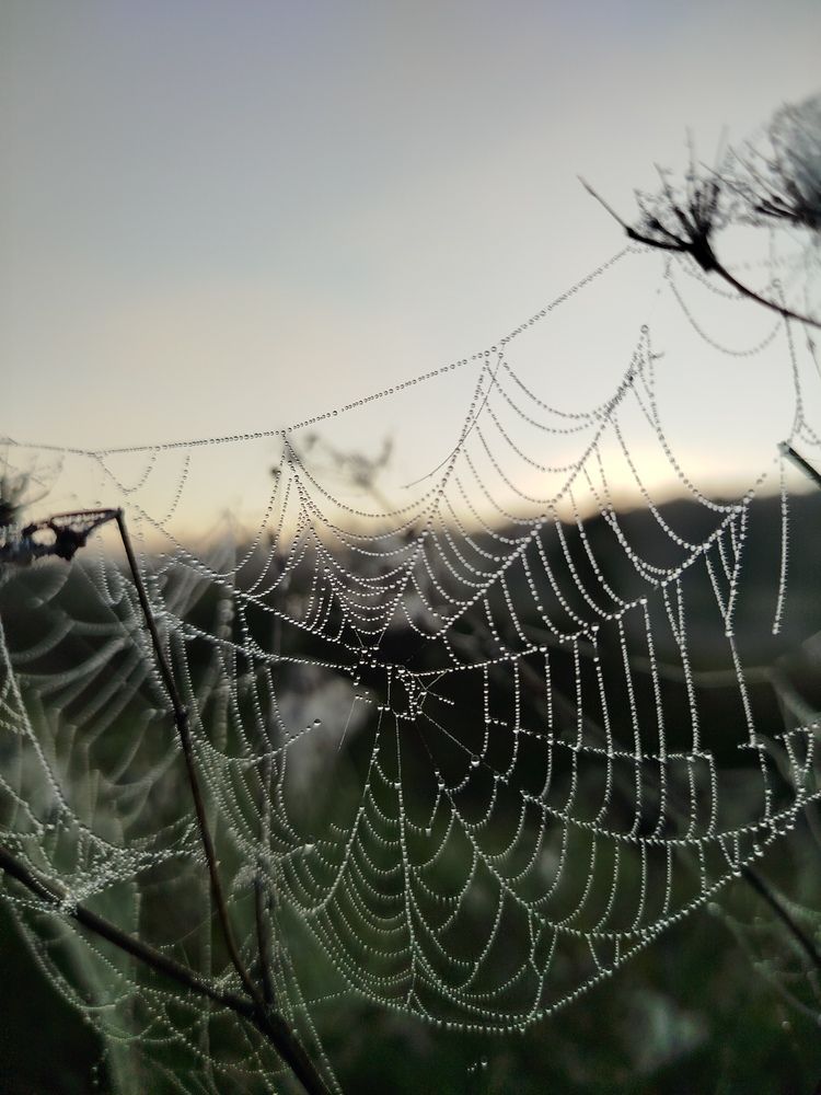 Photograph by Евгения Семёнова