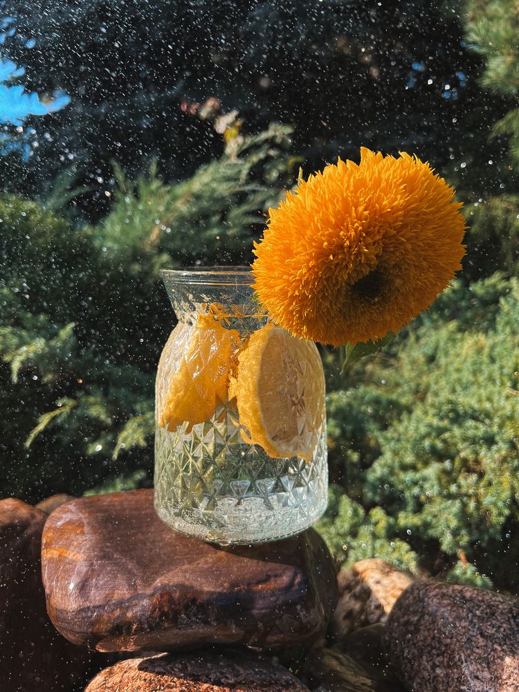 Photograph by Анастасия Германова