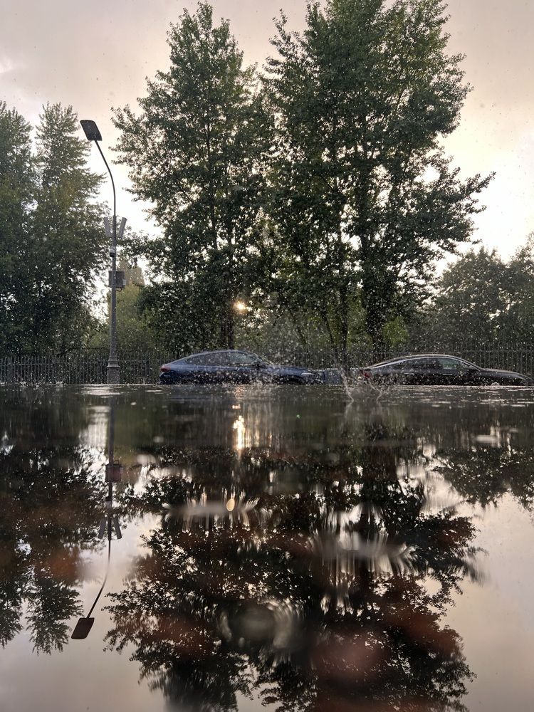 Photograph by Анастасия Германова