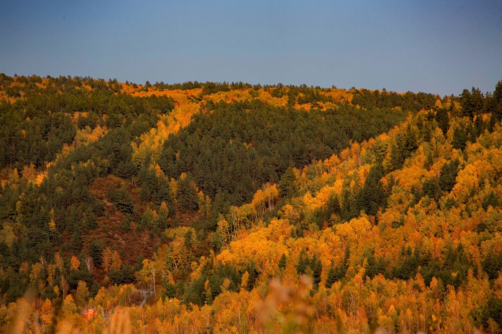 Photograph by Евгений Авдеев