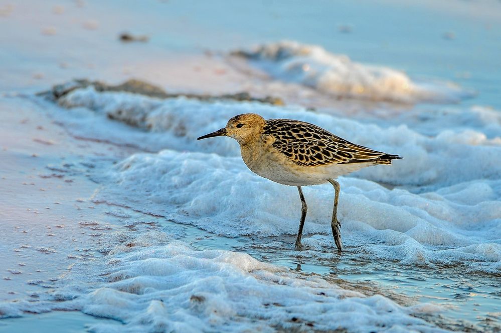 Photograph by Ян Адамсон