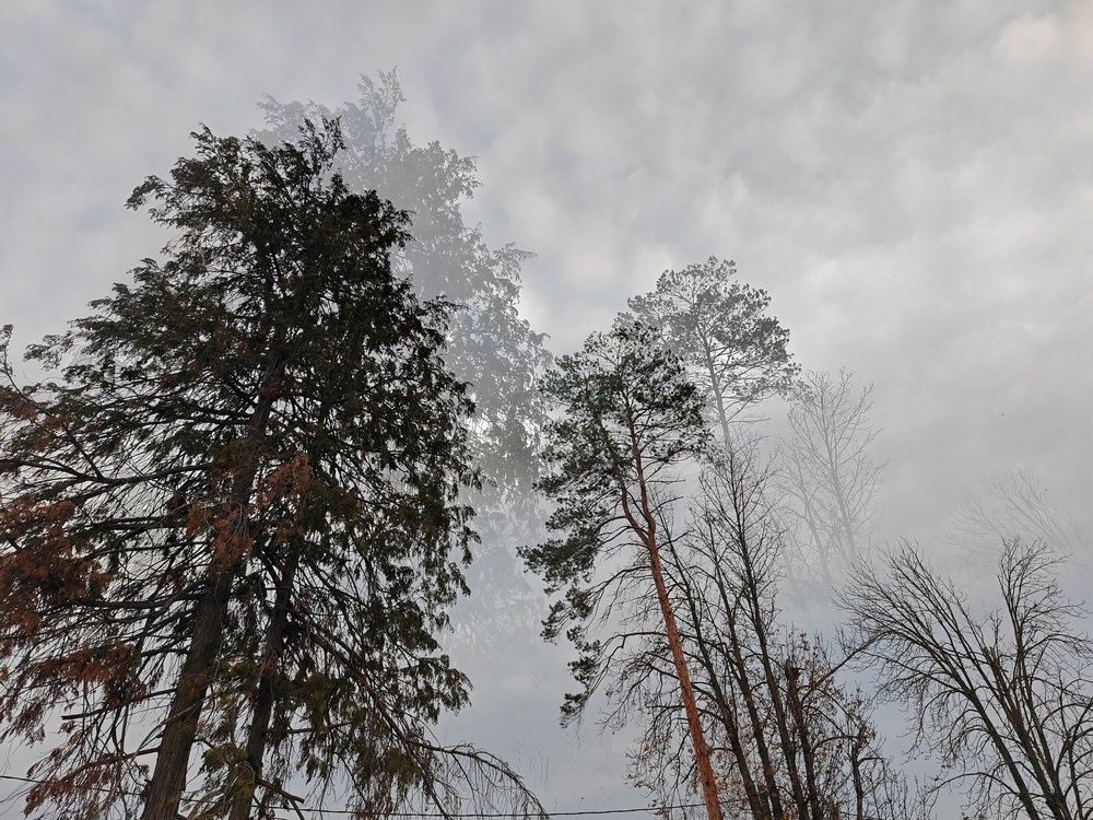 Фотография автора OXANA NAUMOVA