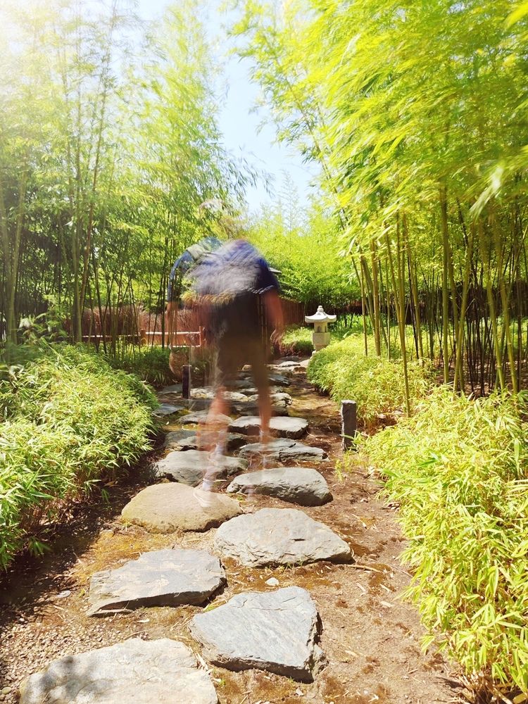 Фотография автора OXANA NAUMOVA