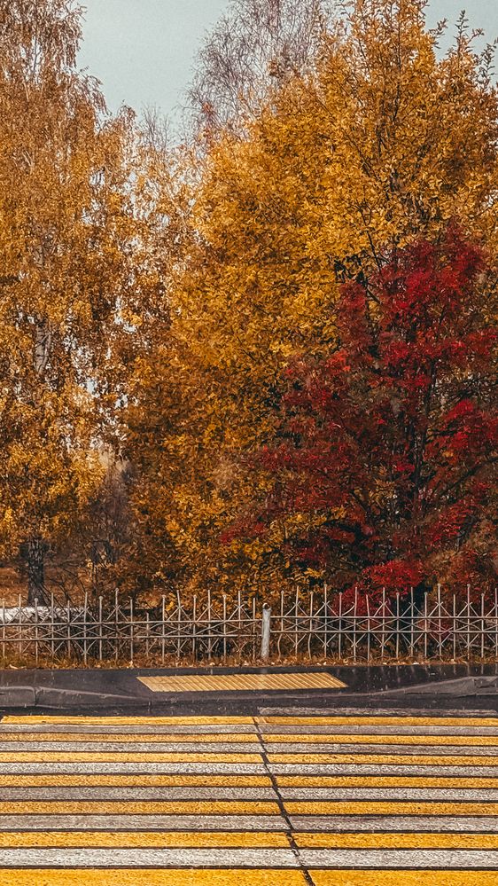 Фотография автора Ирина Павлова