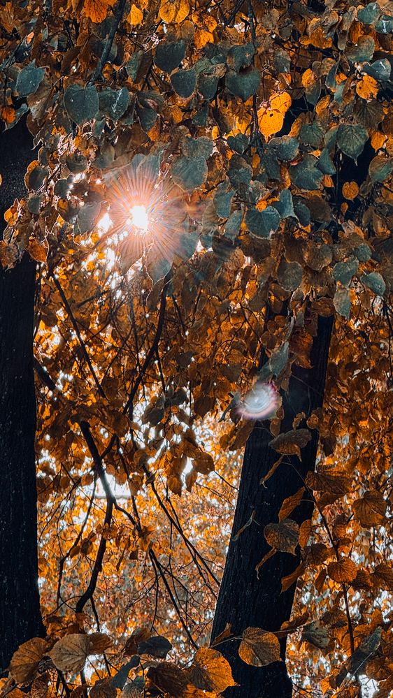 Фотография автора Ирина Павлова