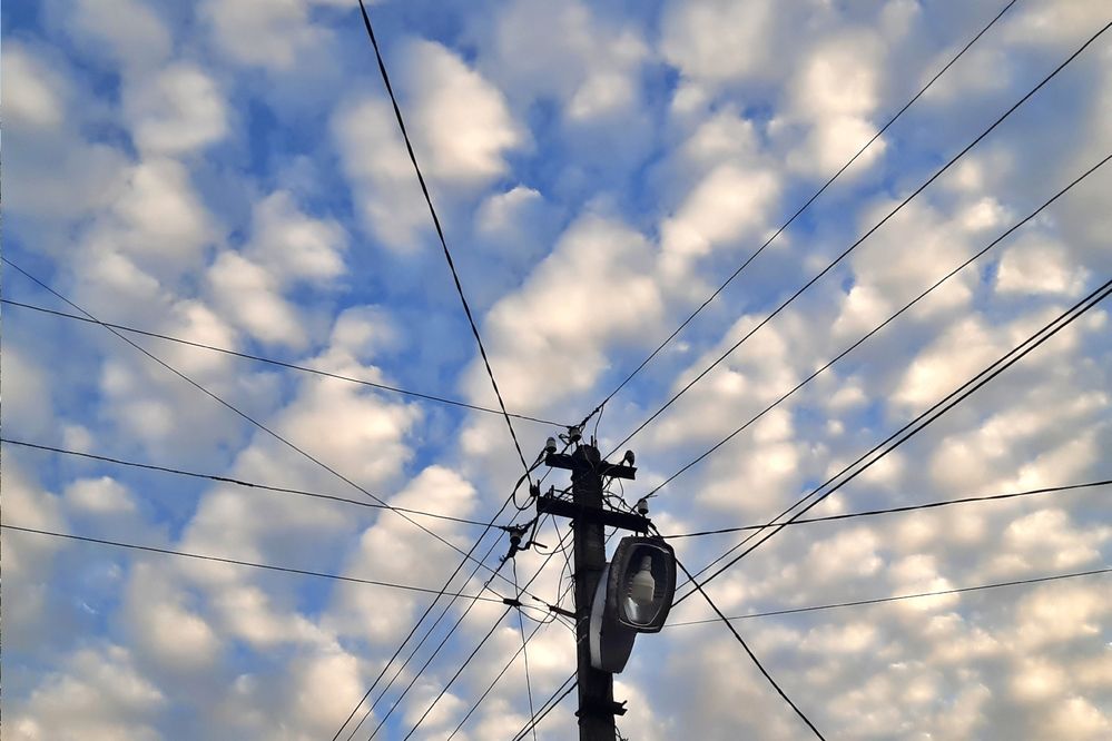 Сквозь цивилизацию