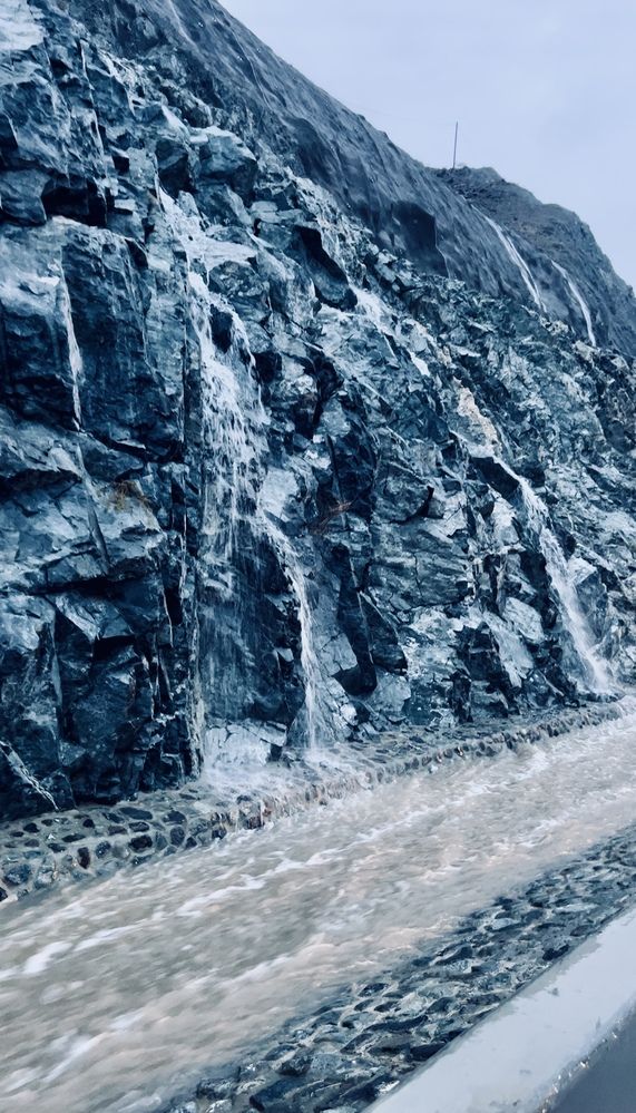 Фотография автора Sarrah Yehia