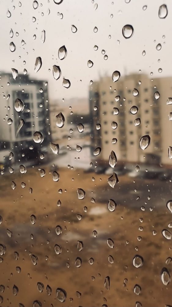 Фотография автора Sarrah Yehia