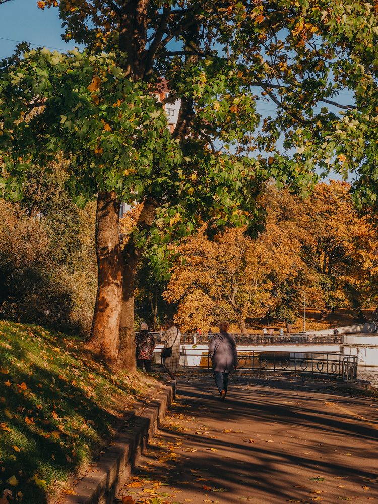 Photograph by Кристина Альшанская