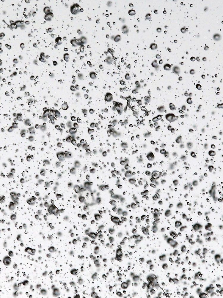 Photograph by Farid Ataei