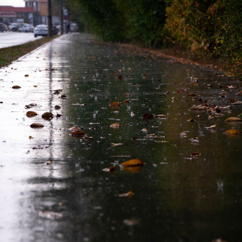 Photograph by Максим Шевченко