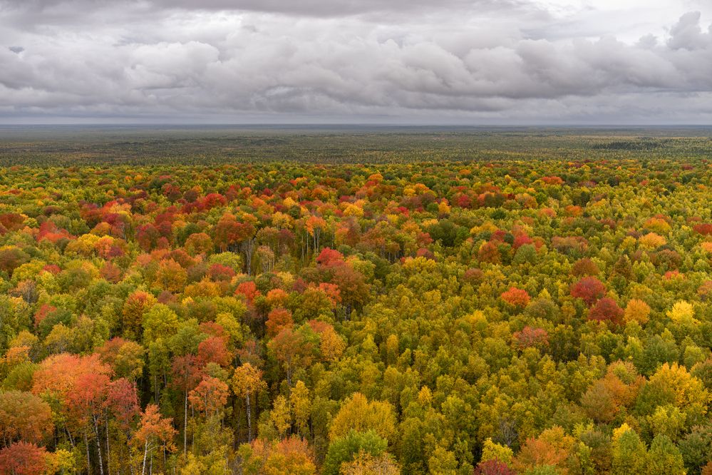 Photograph by Альварис Сукманюк