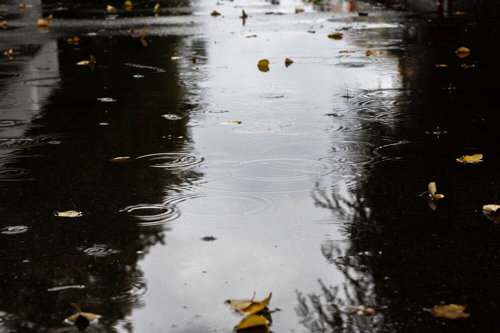 Photograph by Максим Шевченко