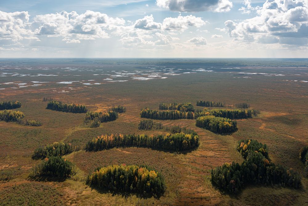 Photograph by Альварис Сукманюк