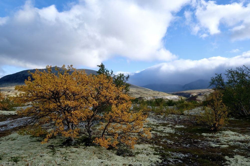 Облачно в горах