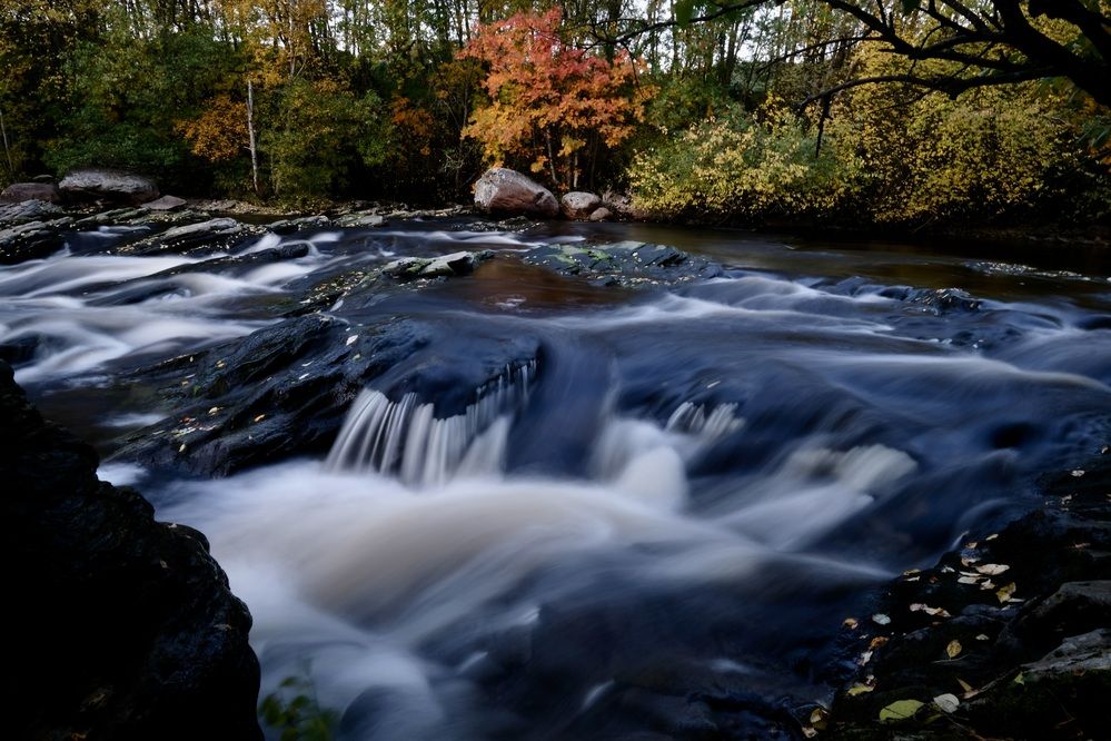 Осень у реки