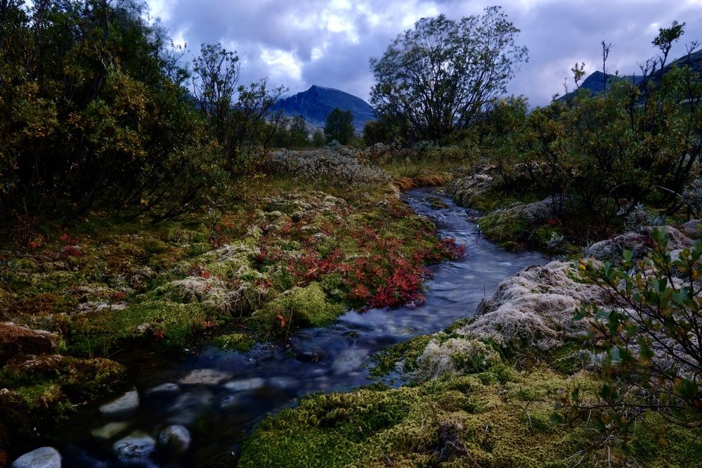 Вечер в горах