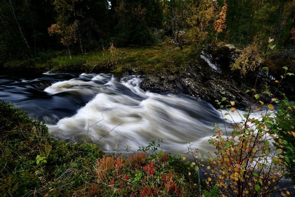 Осенний поток