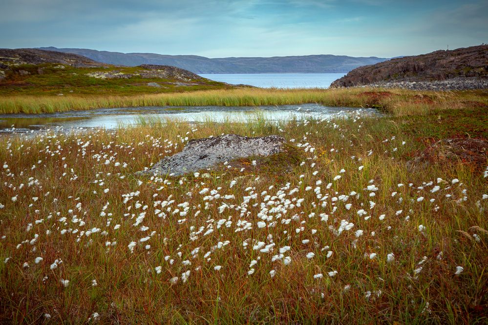 Photograph by Кольцова Мария