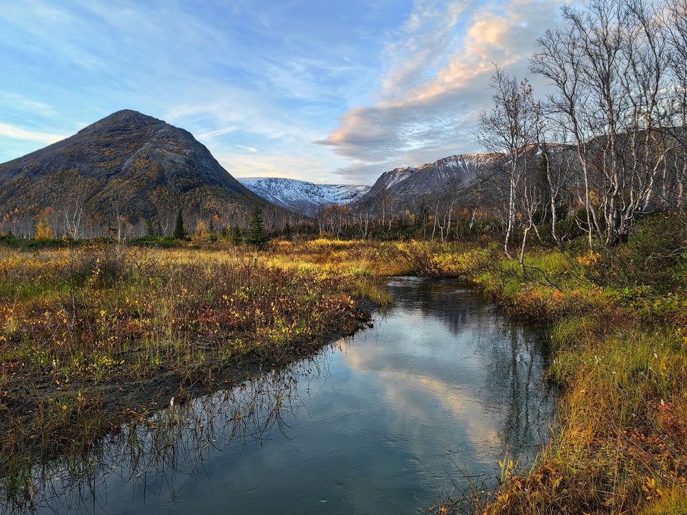 Фотография автора Татьяна Даль