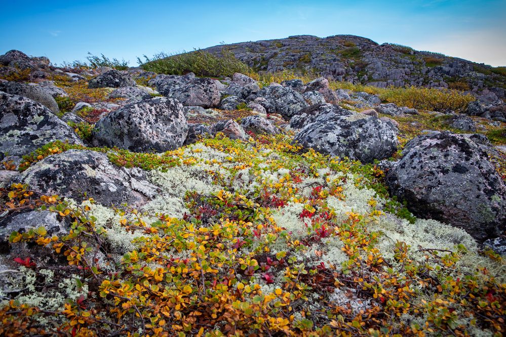 Photograph by Кольцова Мария