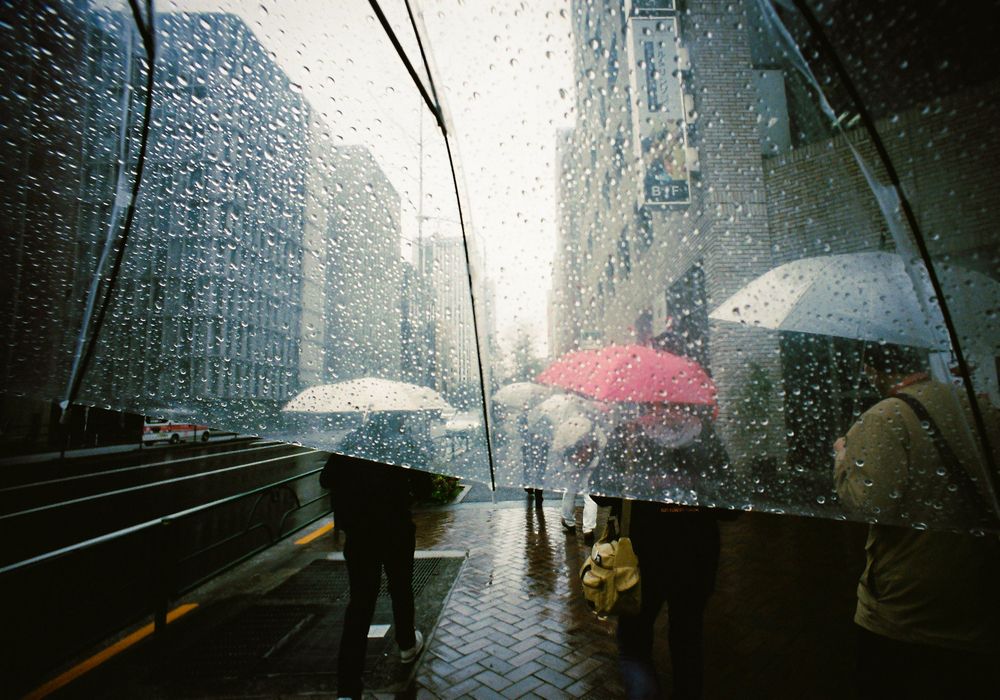 Photograph by mak takano