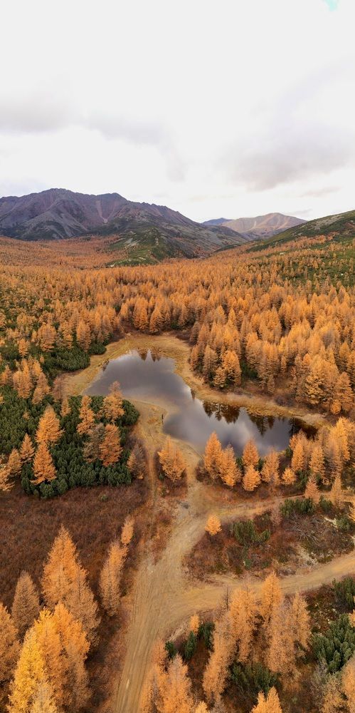 Photograph by Лариса Ким