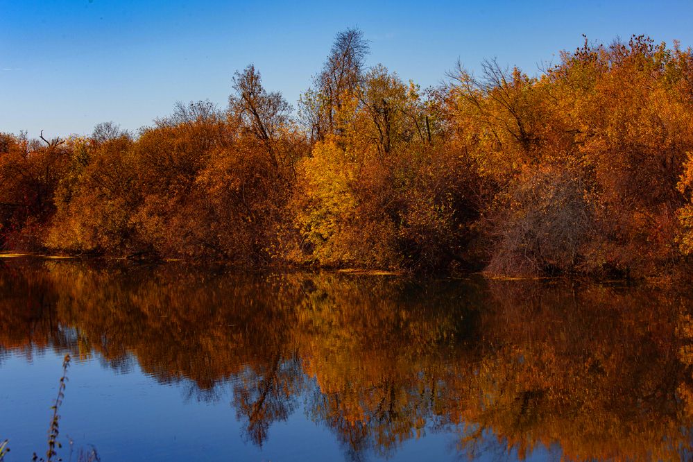 Photograph by Евгений Авдеев