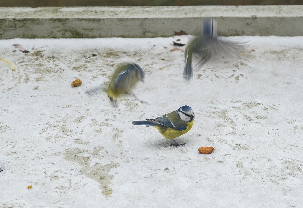 Фотография автора Mojtaba Chenari