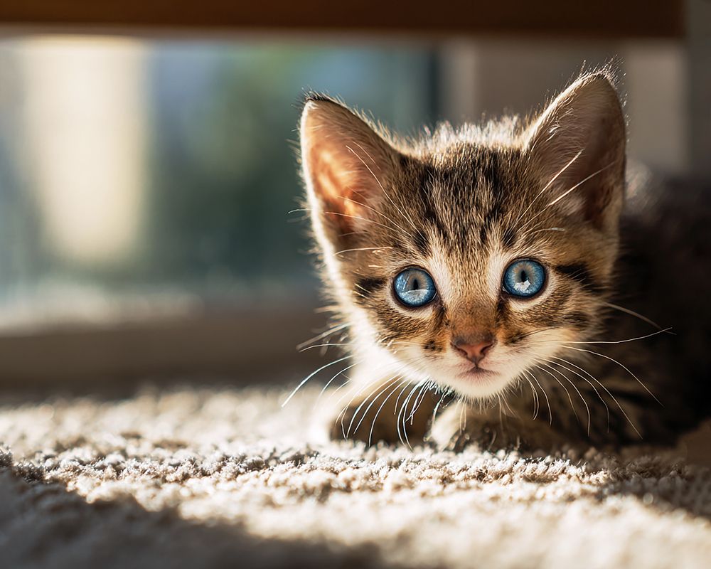 Photograph by Татьяна Михеева