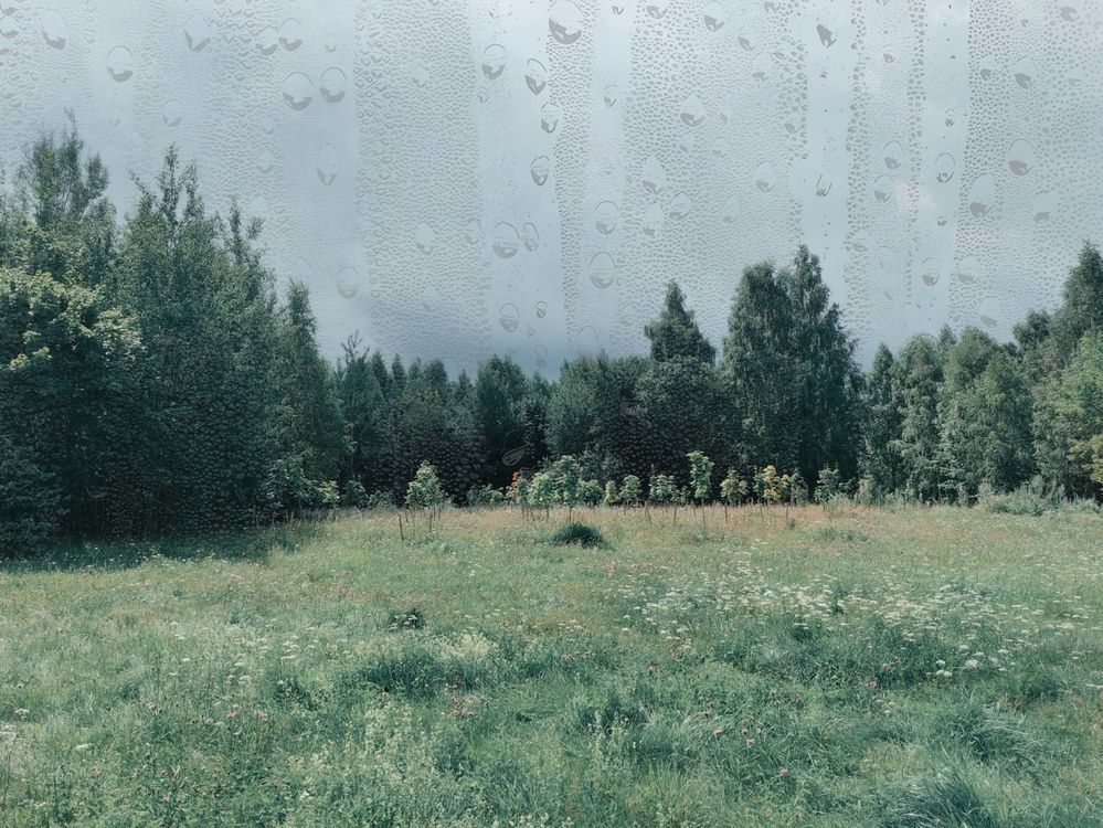 Photograph by Осадчая Анна