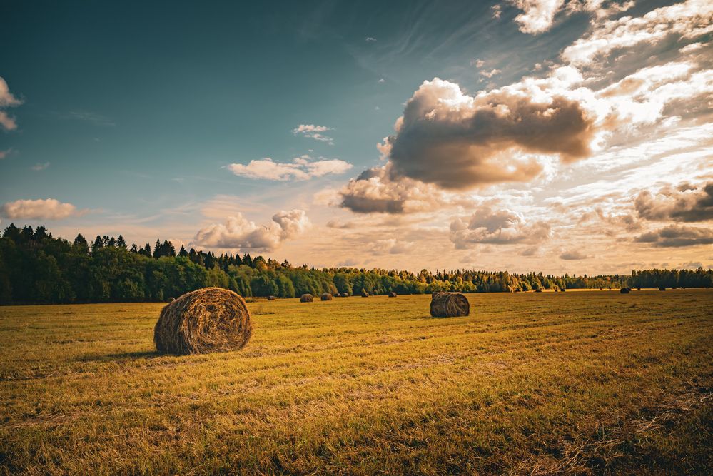 Photograph by Максим Белоус