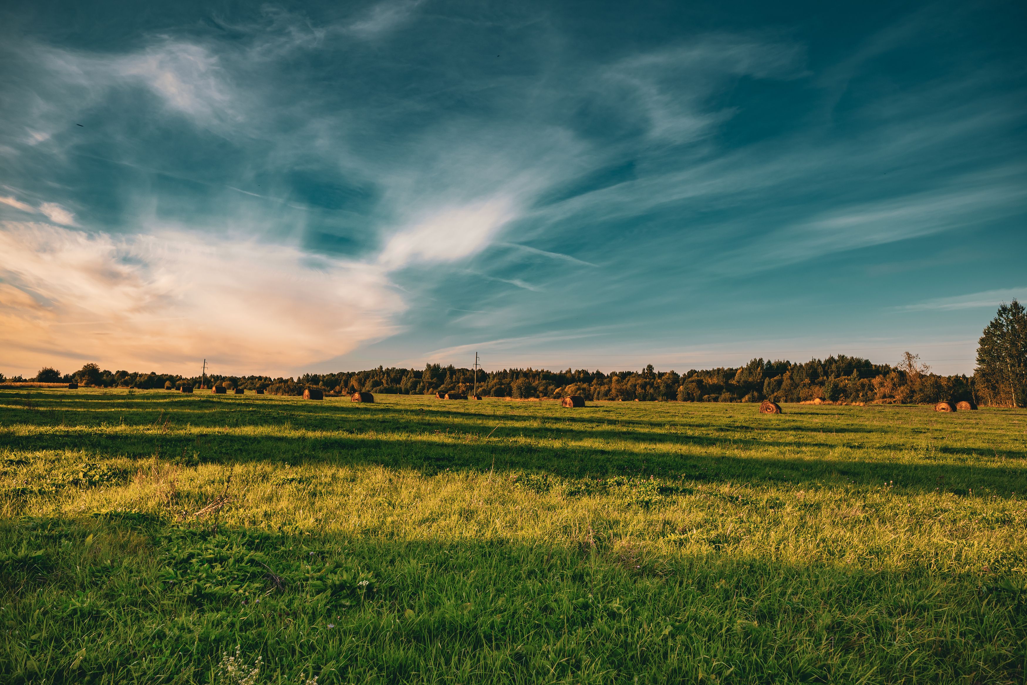 Photograph by Максим Белоус