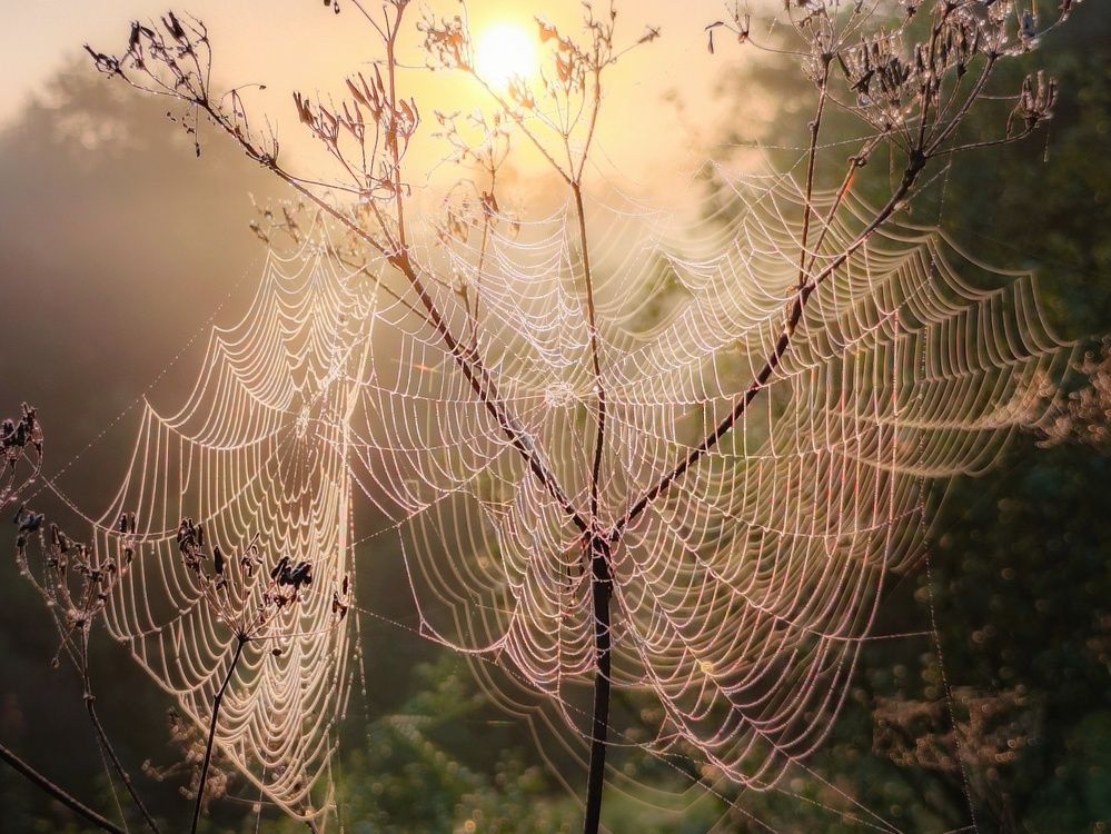 Photograph by Кондрашова Светлана