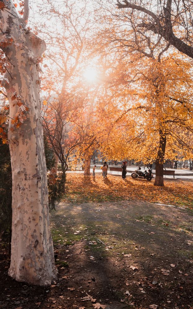 Photograph by Mostafa Moradi