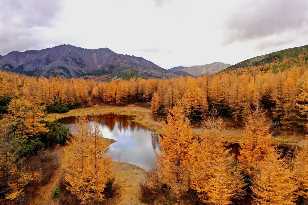 Photograph by Лариса Ким