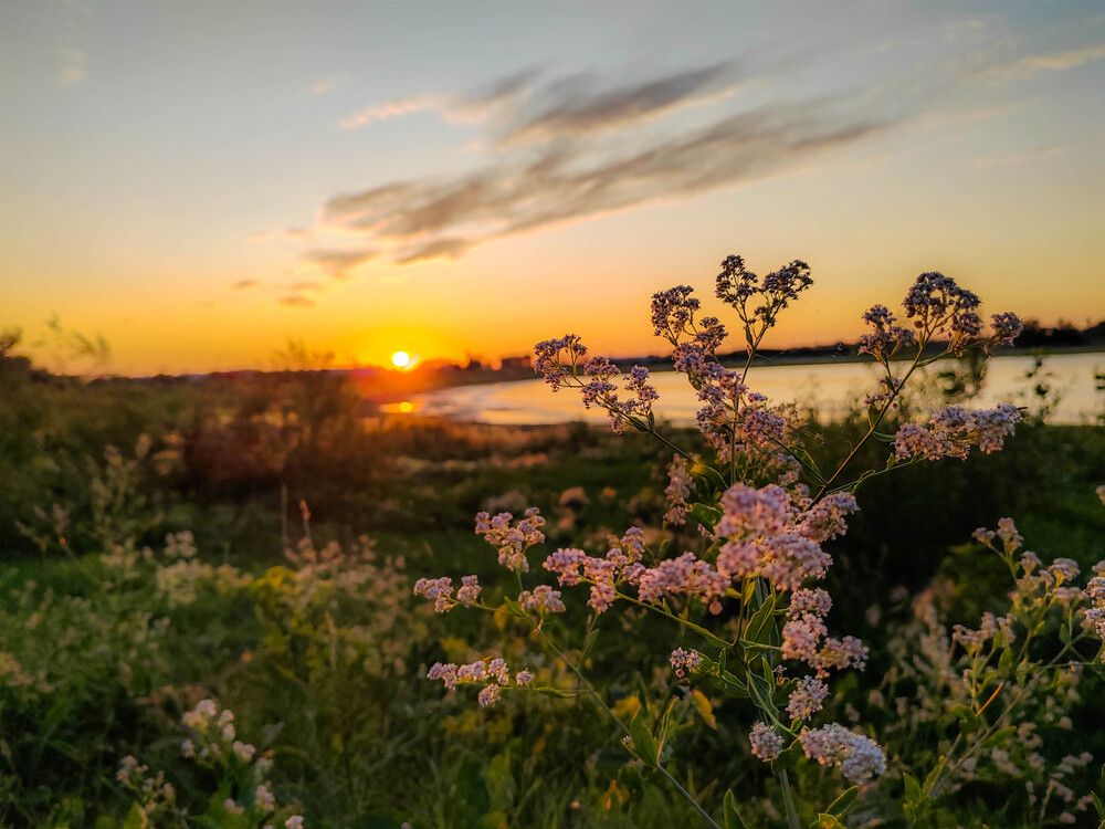 Photograph by Наталья Веряскина