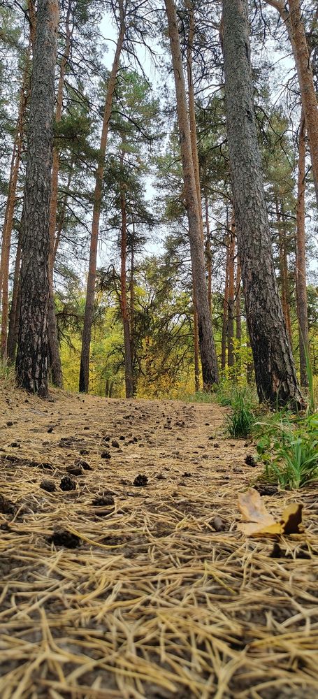 Photograph by Татьяна Нестерова